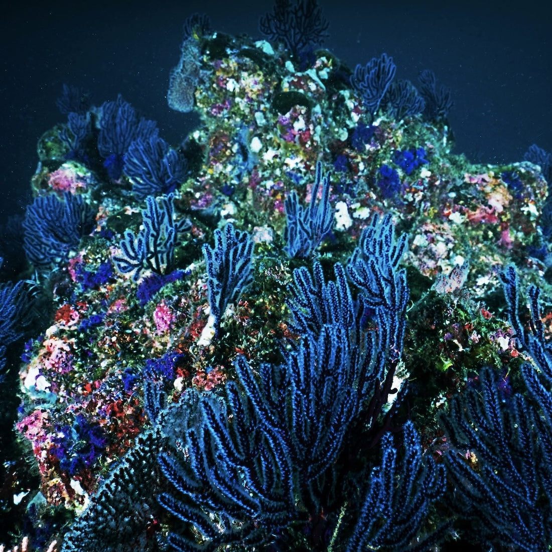 Hvordan taler man om sine seksuelle fantasier