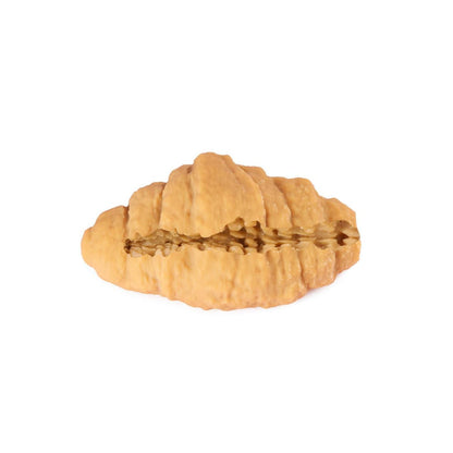 Croissant penissleeve fra Peech set fra siden